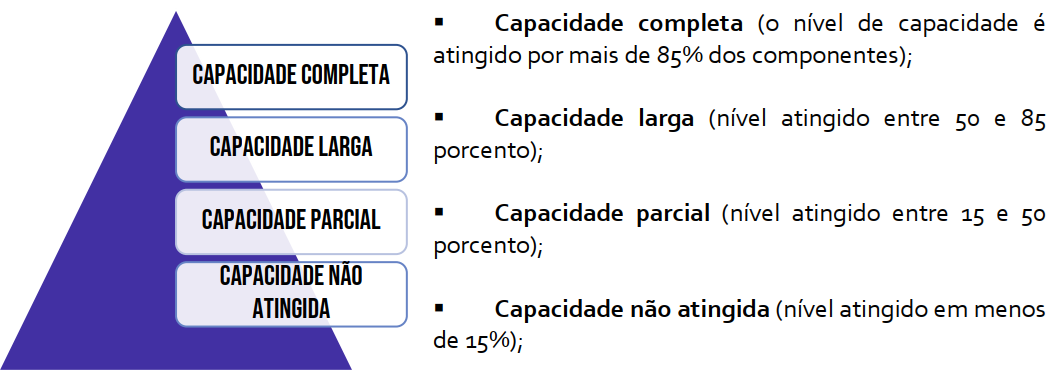 Capacidade informal