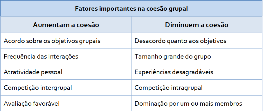 Fatores importantes na coesão grupal