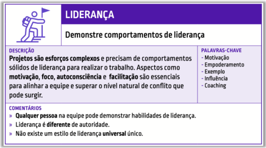 PMBOK - Liderança