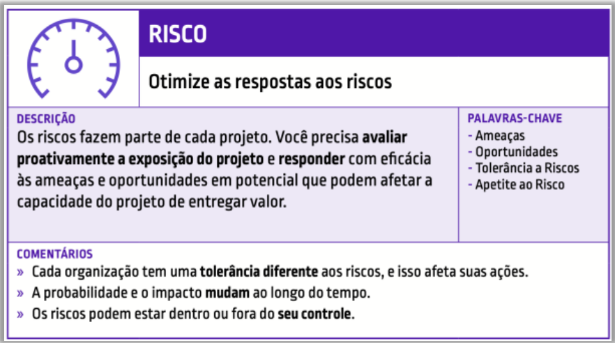 PMBOK - Risco